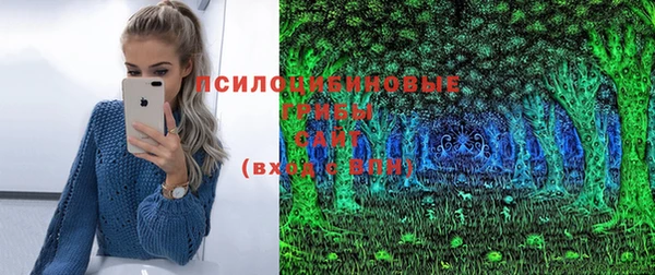 бошки Алзамай