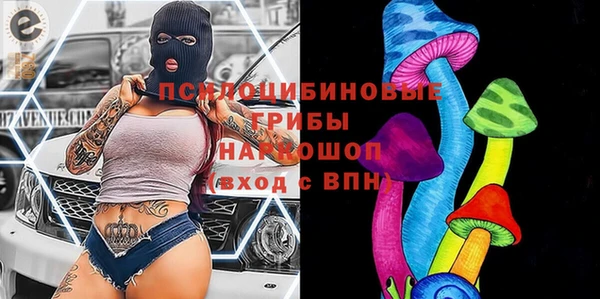 мдпв Корсаков