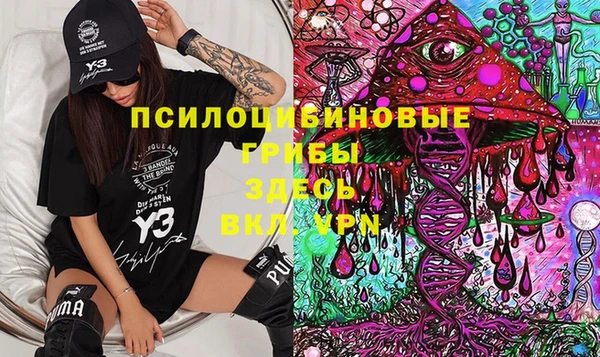 крисы Вязьма