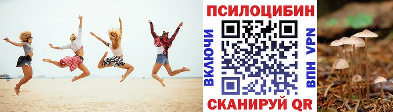 мега ссылки  Макушино  Псилоцибиновые грибы Psilocybe 